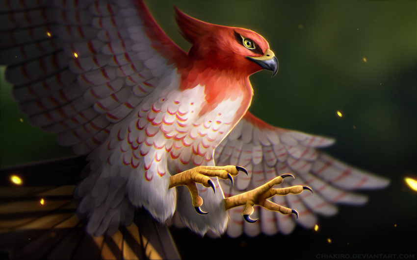 beak bird blurry chiakiro closed_mouth depth_of_field feathers no_humans outstretched_wings pokemon pokemon_(creature) pokemon_(game) pokemon_xy talonflame talons yellow_eyes