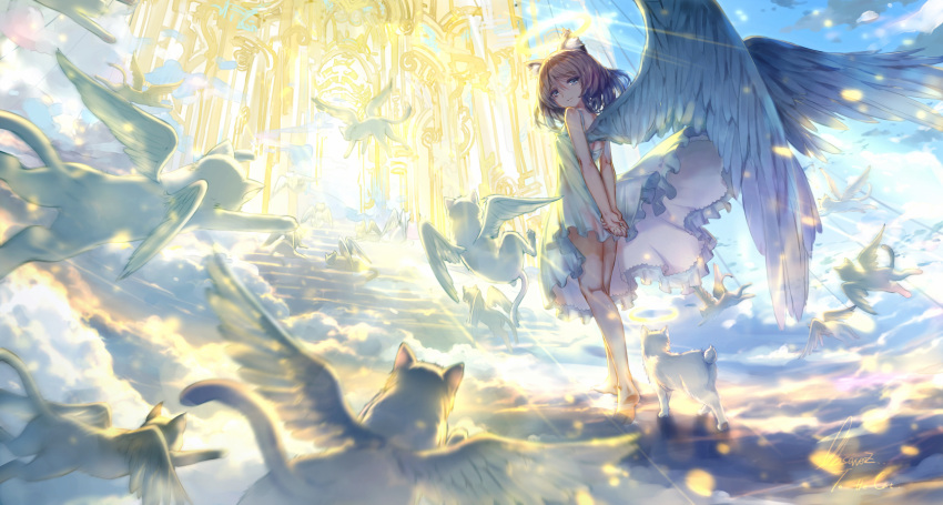 1girl above_clouds angel angel_wings animal animal_ears arms_behind_back back bangs bare_arms bare_legs barefoot blue_eyes blue_sky breasts brown_hair cat cat_ears commentary dress dress_lift engrish feathered_wings flying from_behind from_below fur gate hair_between_eyes heaven highres kneepits light_particles light_rays light_smile looking_at_viewer looking_back motion_blur observerz original own_hands_together personification ranguage signature sitting sky sleeveless sleeveless_dress small_breasts smile soles stairs sundress swept_bangs walking white_dress white_wings wings