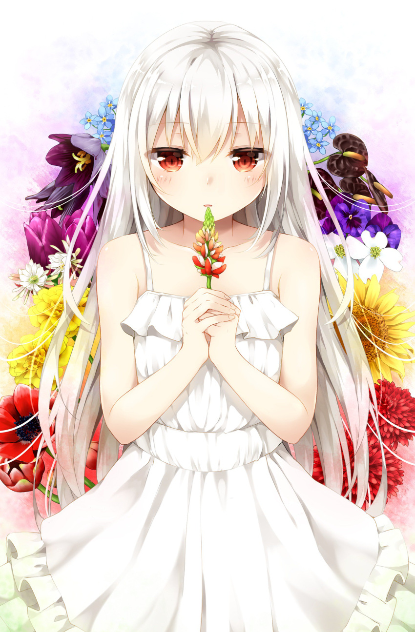 1girl absurdres albino anthurium bare_shoulders carnation chrysanthemum collarbone dress floral_background flower forget-me-not_(flower) frilled_dress frills hands_together highres holding holding_flower lily_(flower) long_hair looking_at_viewer lupinus_(flower) open_mouth original pansy poppy_(flower) red_eyes satou_saya solo sundress sunflower tulip white_dress white_hair