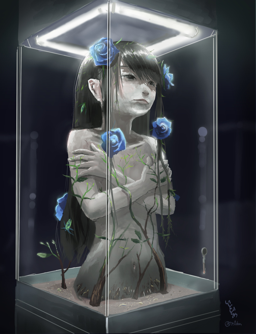 1girl absurdres black_eyes black_hair borrowed_character crossed_arms display_case fantasy flat_chest flower hair_flower hair_ornament highres itodome long_hair navel nude original plant rose vines