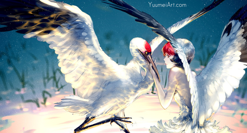 1girl bare_shoulders bird commentary crane_(animal) multicolored_hair original personification red_eyes short_hair solo watermark web_address wenqing_yan white_hair wings