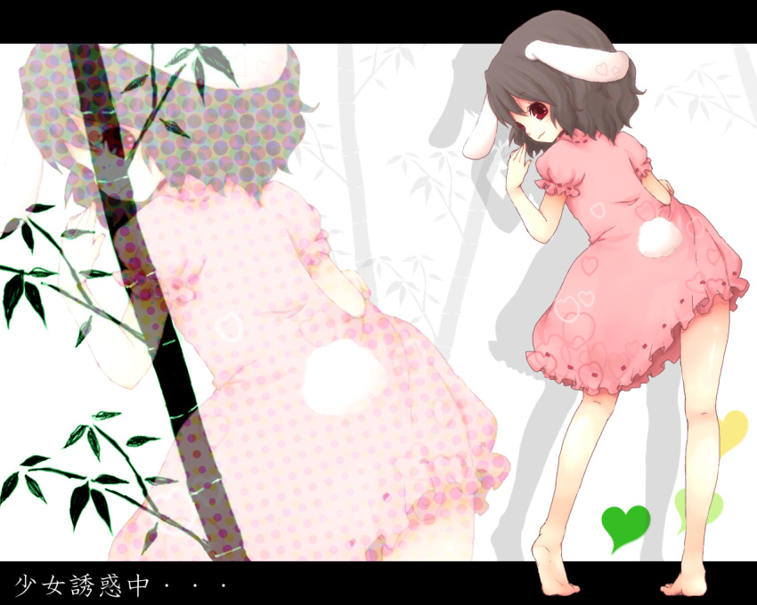 animal_ears barefoot black_hair bunny_ears bunny_tail inaba_tewi rabbit_ears red_eyes short_hair solo tail touhou
