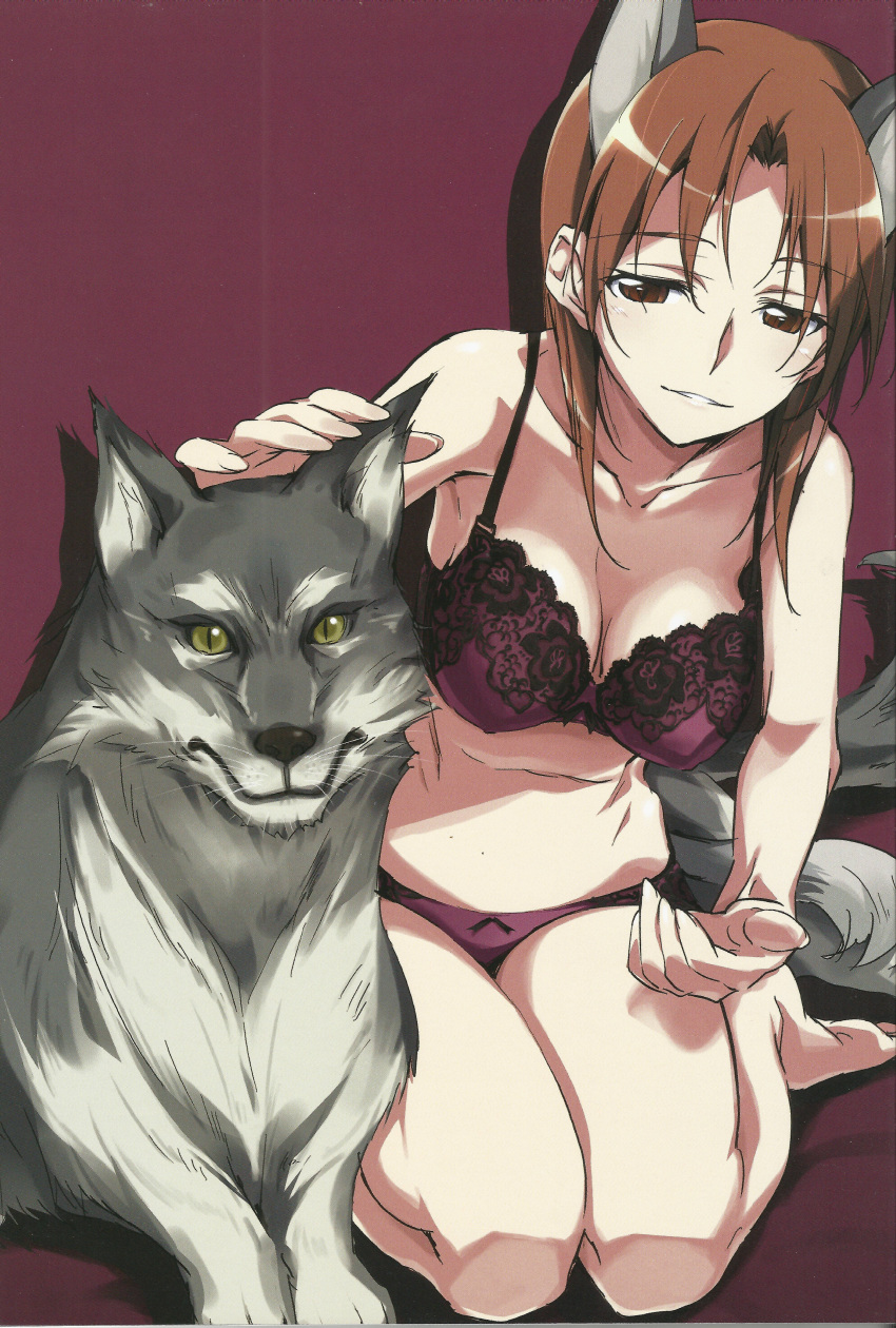 1girl absurdres animal_ears bra breasts cleavage highres kurashima_tomoyasu minna-dietlinde_wilcke panties red_background red_eyes redhead scan short_hair simple_background strike_witches tail underwear wolf wolf_ears wolf_tail world_witches_series