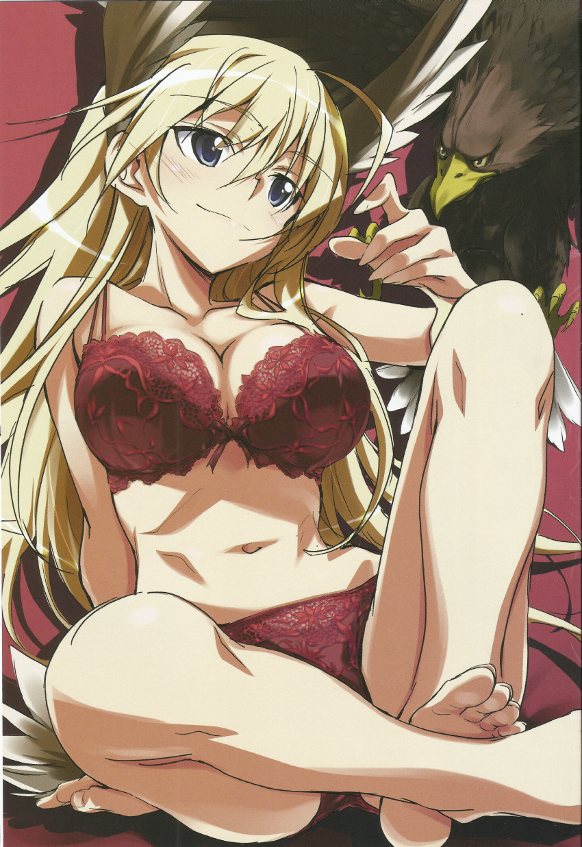 1girl absurdres animal_ears bird blonde_hair blue_eyes blush bra breasts cleavage eagle hanna-justina_marseille highres kurashima_tomoyasu long_hair panties red_background scan simple_background strike_witches tail underwear wing_ears wings world_witches_series