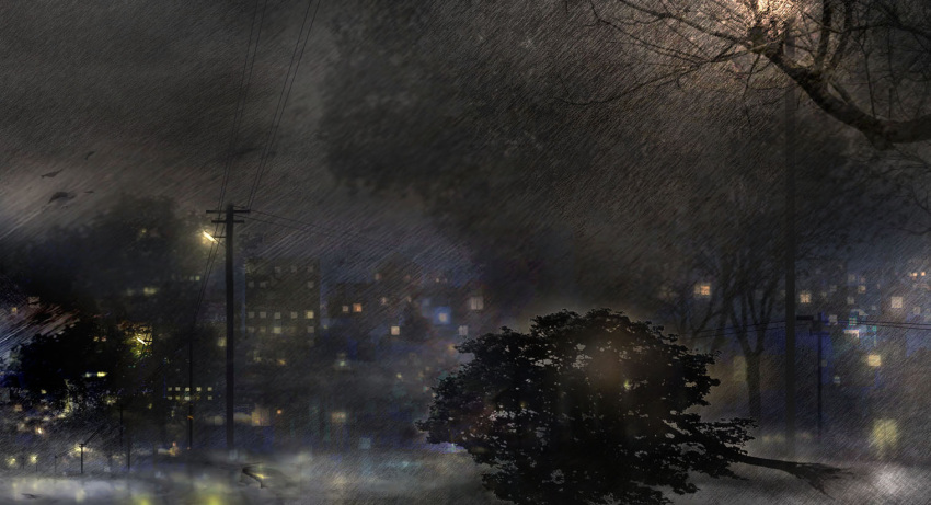 00 blurry building city city_lights clouds cloudy_sky dark depth_of_field night no_humans original power_lines rain scenery sky storm telephone_pole tree uprooted wind