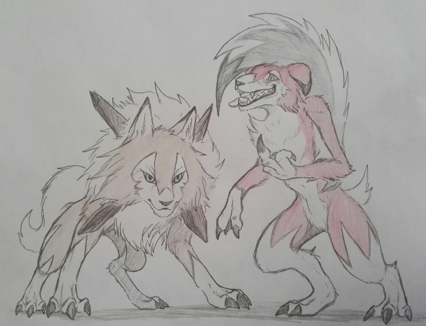 absurdres alternate_form animal_ears claws dog_ears fang fangs fighting_stance full_body fur highres kokuka_(kyojaku24) looking_at_viewer lugarugan mohawk no_humans open_mouth pokemon pokemon_(game) pokemon_sm sharp_teeth sketch spot_color standing tail teeth tongue tongue_out werewolf
