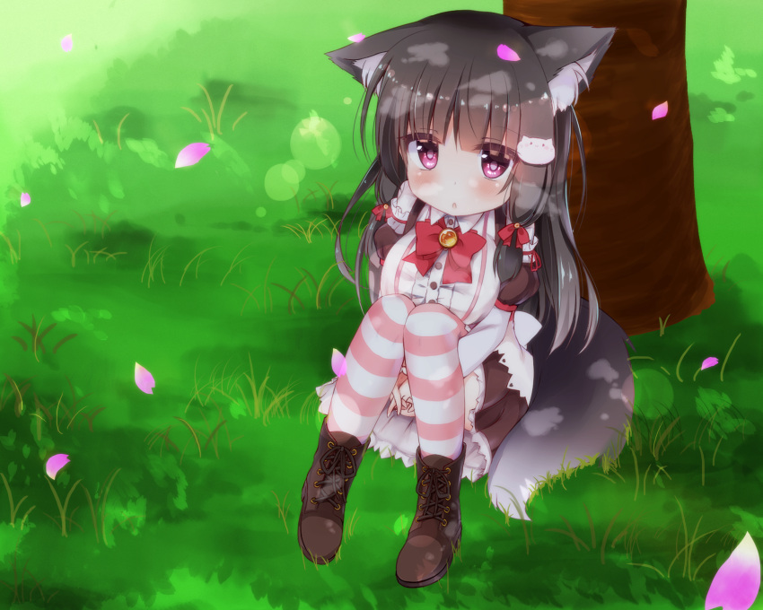 1girl against_tree animal_ears blush boots brown_eyes brown_hair dog_ears dress flower from_above grass highres knees_on_chest leg_hug long_hair looking_up miktama original outdoors petals sitting solo striped striped_legwear tail thigh-highs tree