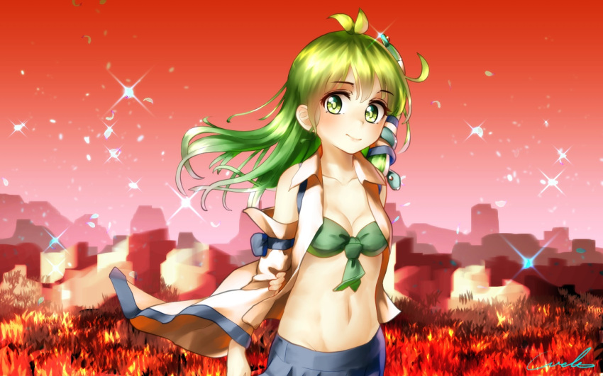1girl arm_at_side arm_behind_back artist_name blue_skirt blush breasts cleavage detached_sleeves frog_hair_ornament gradient_sky grass green_eyes green_hair hair_ornament hair_tubes hand_on_own_arm hips kochiya_sanae long_hair navel open_clothes open_shirt petals red_sky reflective_eyes shiny shiny_hair shirt skirt sky sleeveless sleeveless_shirt small_breasts smile snake_hair_ornament solo sparkle stomach toned touhou u-eruto upper_body white_shirt wide_sleeves wind