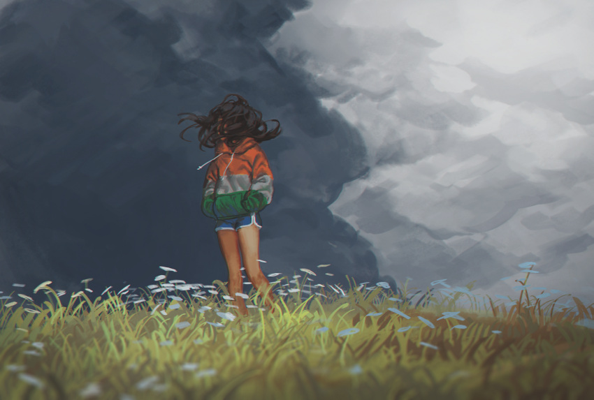 1girl blurry brown_hair clouds cloudy_sky covered_face depth_of_field facing_viewer field flower grass hair_blowing hands_in_pockets hood hoodie long_hair original pachyphytum shorts sky solo wind