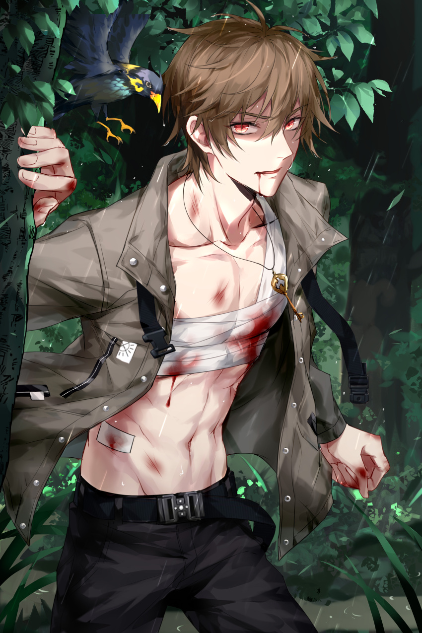 1boy abs absurdres animal bandages bangs bird blood blood_on_bandages blood_on_face brown_eyes brown_hair devil_heavens highres jacket jewelry jungle key leaf looking_at_viewer luke_pearce_(tears_of_themis) nature necklace open_clothes open_jacket outdoors ryona short_hair solo tears_of_themis tree