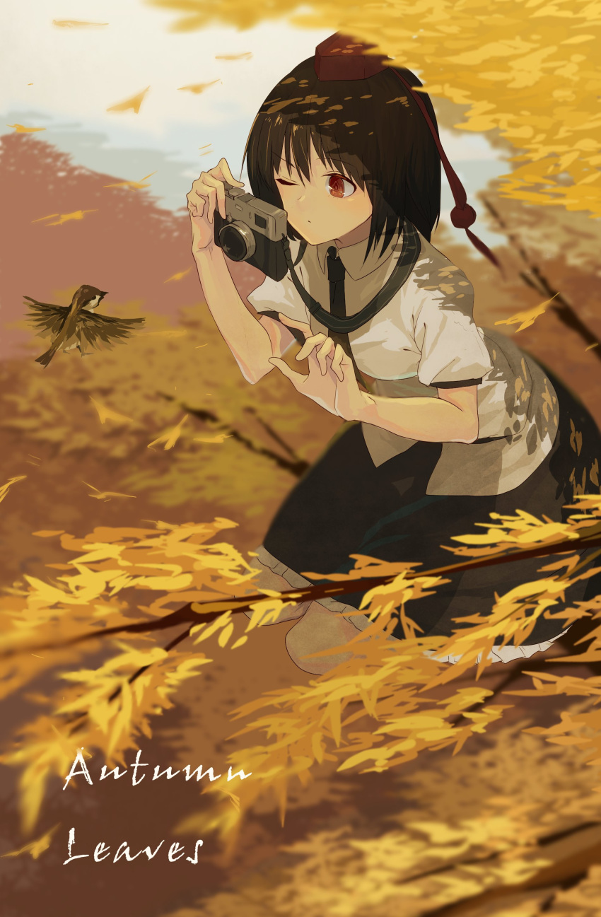 1girl absurdres autumn_leaves bird black_hair branch camera collared_shirt commentary dress_shirt eyebrows eyebrows_visible_through_hair forest gomibukurokarasu hat highres leaf nature necktie one_eye_closed outdoors pom_pom_(clothes) puffy_short_sleeves puffy_sleeves red_eyes shameimaru_aya shirt short_hair short_sleeves skirt sky solo taking_picture text tokin_hat touhou tree tree_branch