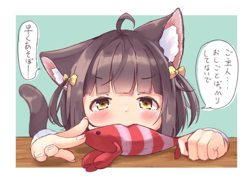 1girl ahoge animal_ear_fluff animal_ears biting black_hair blue_background blush bow brown_eyes cat_ears cat_girl cat_tail commentary_request hair_bow highres holding holding_stuffed_toy manabe_mana original solo stuffed_animal stuffed_shrimp stuffed_toy tail translation_request two-tone_background two_side_up white_background yellow_bow