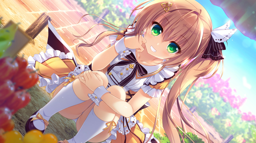 1girl ameto_yuki black_ribbon brown_hair collarbone dress dutch_angle eyebrows eyebrows_visible_through_hair game_cg green_eyes grin hair_ornament hair_ribbon highres karenai_sekai_to_owaru_hana kotose_(karenai_sekai_to_owaru_hana) long_hair looking_at_viewer outdoors panties pantyshot pantyshot_(squatting) ribbon side_ponytail smile solo squatting striped striped_ribbon underwear white_legwear white_panties wrist_cuffs yellow_ribbon