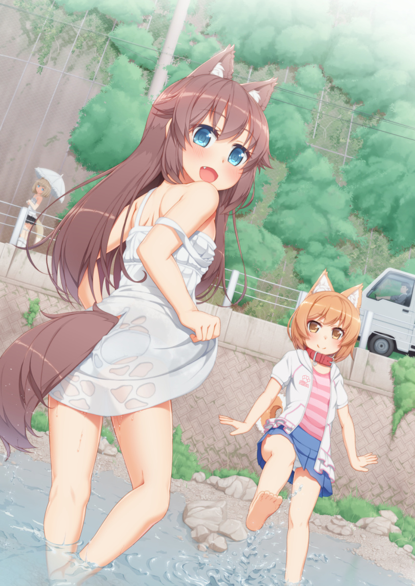 2girls animal_ears ass bare_legs bare_shoulders barefoot blue_eyes blush brown_hair collar commentary_request dog_ears dog_tail dress fang grass highres hood hoodie long_hair looking_back multiple_girls off_shoulder open_mouth original outdoors panties pantyshot pantyshot_(standing) pleated_skirt river shirt short_hair skirt smile soaking_feet standing strap_slip striped striped_shirt sundress tachimi_(basue) tail underwear wading water wet wet_clothes white_dress white_panties