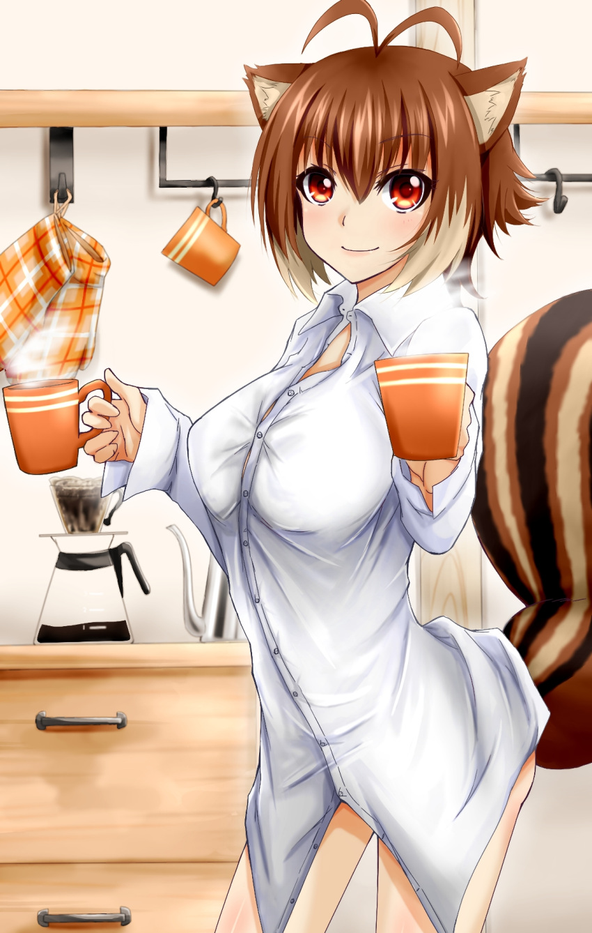 1girl animal_ears antenna_hair blazblue blush breasts brown_hair bursting_breasts chukachuka coffee coffee_cup coffee_pot cowboy_shot highres hot_drink large_breasts long_sleeves looking_at_viewer makoto_nanaya multicolored_hair orange_eyes shirt shirt_only short_hair smile solo squirrel_ears squirrel_tail steam tail two-tone_hair unbuttoned unbuttoned_shirt white_shirt