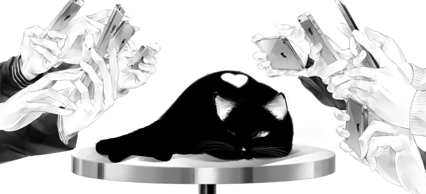 animal black_cat brand_name_imitation cat cellphone fingernails greyscale hands heart highres holding_cellphone logo long_sleeves looking_at_viewer lying monochrome one_eye_closed original out_of_frame phone sawasawa simple_background smartphone solo_focus taking_picture white_background