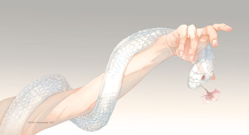 1boy albino animal flower gradient gradient_background male_focus original re_degrees_(red_flagship) red_eyes simple_background snake web_address