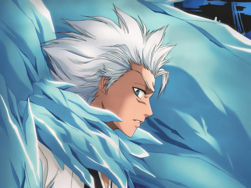 bleach hitsugaya_toushirou tagme