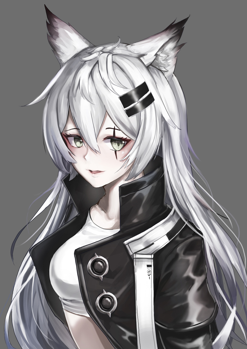1girl animal_ears arknights bangs black_jacket breasts commentary crop_top grey_background grey_eyes hair_between_eyes hair_ornament hairclip highres iznal jacket lappland_(arknights) long_hair looking_at_viewer medium_breasts midriff open_clothes open_jacket parted_lips scar scar_across_eye silver_hair simple_background solo upper_body wolf_ears