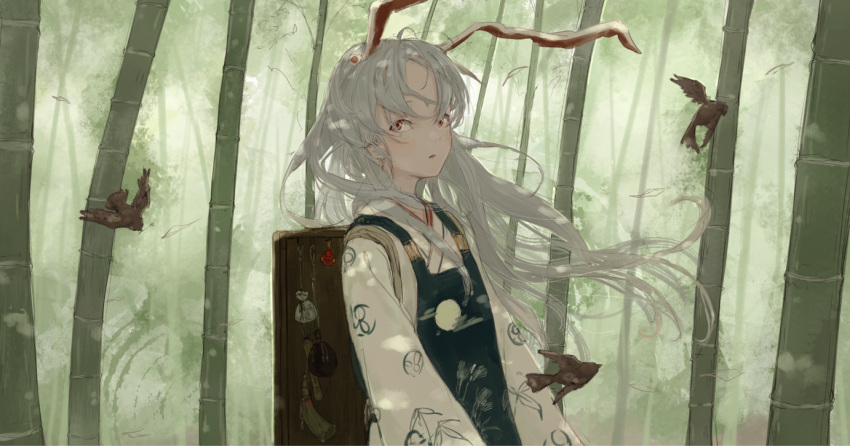 1girl alternate_costume alternate_hair_color animal animal_ears backpack bag bamboo bamboo_forest bangs bird drawstring_bag flat_chest floating_hair forest from_side japanese_clothes long_hair long_sleeves looking_at_viewer medicine_box moon_print nature open_mouth outdoors parted_lips rabbit_ears red_eyes reisen_udongein_inaba shade silver_hair tassel touhou upper_body wind yushika