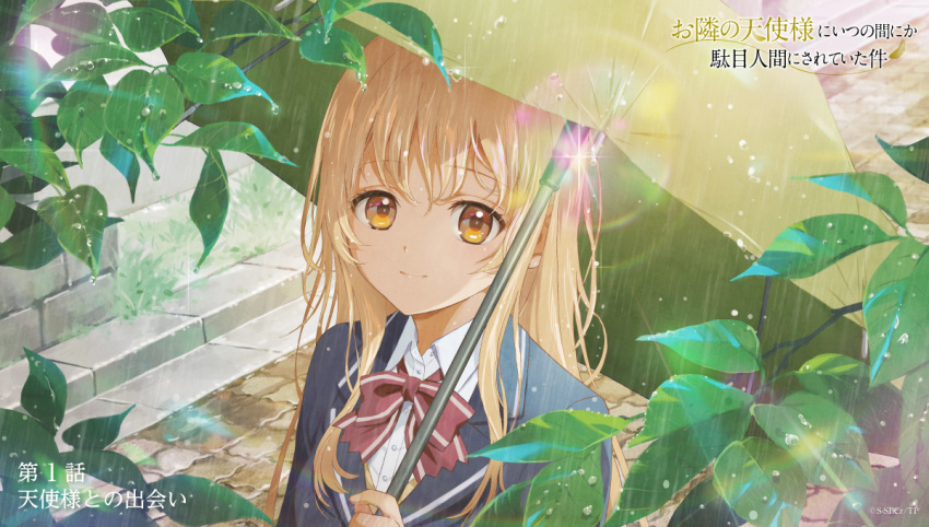 1girl artist_request bangs blue_jacket bow bowtie braid brown_eyes cherry_blossoms company_name copyright copyright_name jacket lapels light_brown_hair long_hair looking_at_viewer official_art otonari_no_tenshi-sama_ni_itsu_no_mani_ka_dame_ningen_ni_sarete_ita_ken rain red_bow red_bowtie shiina_mahiru_(otonari_no_tenshi-sama) shirt sidelocks solo umbrella very_long_hair white_shirt