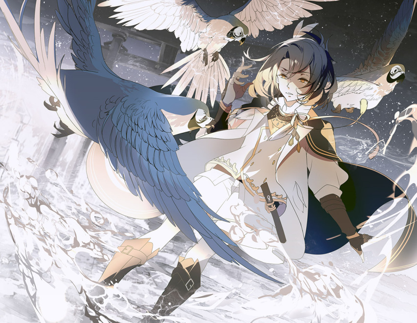 1boy bird blue_hair boots cape dutch_angle feathers hair_feathers loyalists male_focus parrot personification shorts solo taikogane_sadamune torii touken_ranbu yellow_eyes