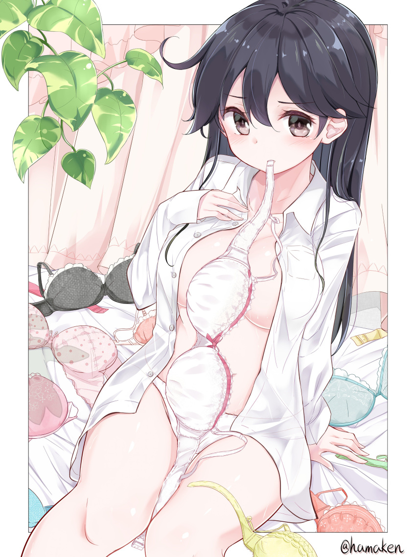 1girl absurdres black_bra black_eyes black_hair blue_bra blush bow bow_bra bra bra_removed breasts collarbone collared_shirt curtains dress_shirt dutch_angle hand_on_own_chest highres kantai_collection kengorou_saemon_ii_sei leaf long_hair looking_at_viewer mouth_hold open_clothes open_shirt panties pink_bra plant shirt sitting sleeves_past_wrists solo twitter_username underwear ushio_(kantai_collection) vines white_panties wing_collar yellow_bra