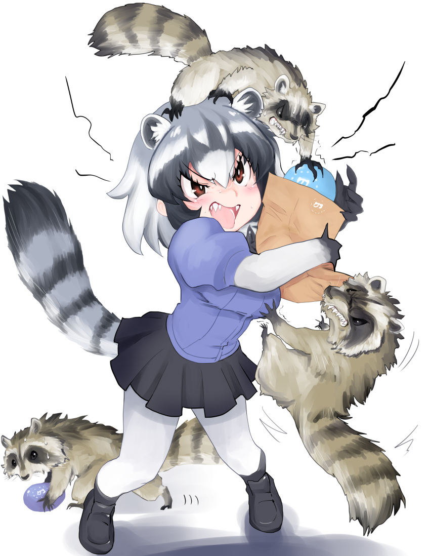 1girl absurdres angry animal animal_ears bag bangs biting black_bow black_footwear black_hair black_neckwear black_skirt blouse blue_blouse blush bow bowtie breast_grab breasts brown_eyes common_raccoon_(kemono_friends) dangling elbow_gloves extra_ears eyebrows_visible_through_hair eyelashes fingernails food food_theft full_body fur_collar furrowed_eyebrows gloves grabbing grey_hair hair_between_eyes highres holding holding_bag holding_food japari_bun kemono_friends leaning_forward loafers medium_breasts miniskirt motion_lines multicolored multicolored_clothes multicolored_gloves multicolored_hair open_mouth pantyhose paper_bag pigeon-toed pleated_skirt puffy_short_sleeves puffy_sleeves raccoon raccoon_ears raccoon_tail running ryou_(cagw5223) shadow sharp_fingernails sharp_teeth shoes short_sleeves shouting skirt solo standing sweat tail teeth theft white_background white_gloves white_hair white_legwear