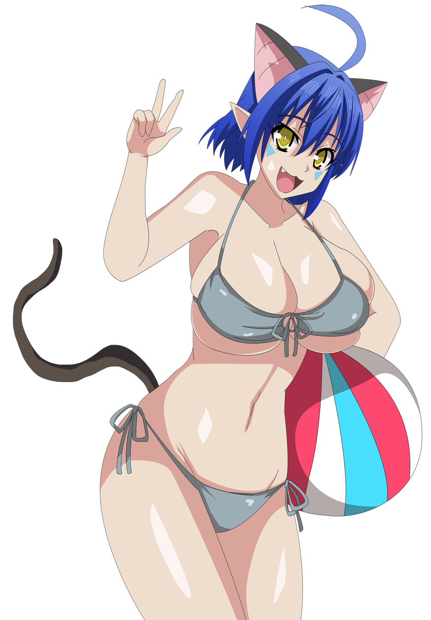 bikini breasts cat_demon_girl_(shinmai_maou_no_testament_burst) large_breasts shinmai_maou_no_testament swimsuit tagme