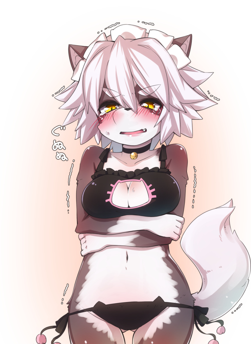 1girl animal_ears blush bra breasts cat cat_keyhole_bra cat_lingerie cleavage cleavage_cutout fang furry looking_at_viewer open_mouth panties short_hair solo tail tears thick_eyebrows underwear white_hair youki