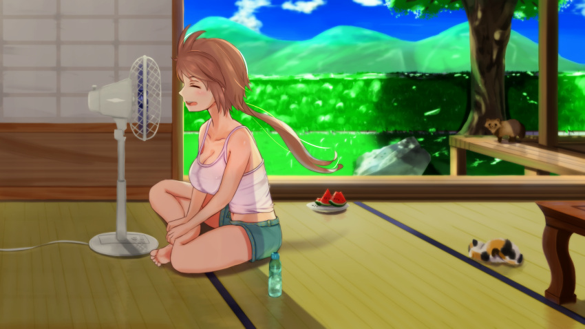 1girl barefoot blue_sky breasts cat cleavage closed_eyes clouds denim denim_shorts electric_fan fan female food fruit highres indian_style kamome_donburi landscape large_breasts midriff navel no_bra open_mouth original ramune shorts sitting sky solo summer tank_top tatami wallpaper watermelon