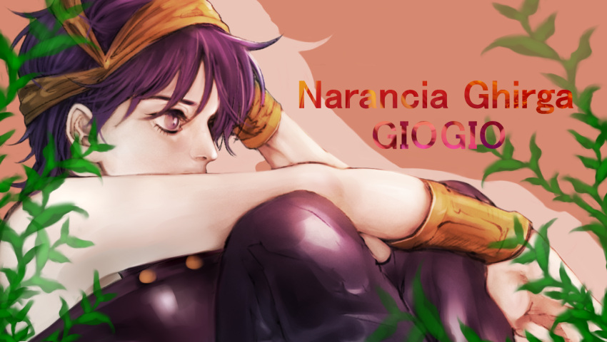 1boy character_name hairband jojo_no_kimyou_na_bouken male_focus narancia_ghirga pale_skin plant purple_hair r_(dododo888) shiny sitting solo violet_eyes wristband