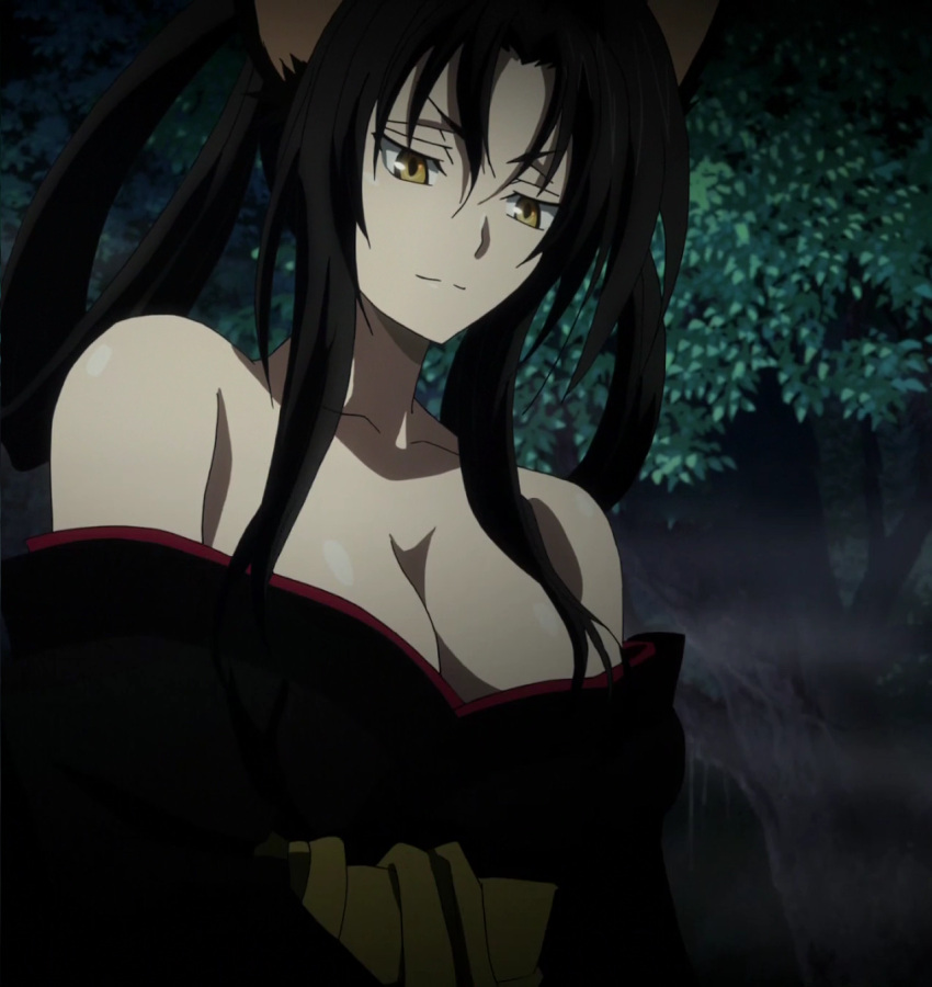 1girl black_hair breasts female high_school_dxd kuroka large_breasts night smile solo stitched yellow_eyes