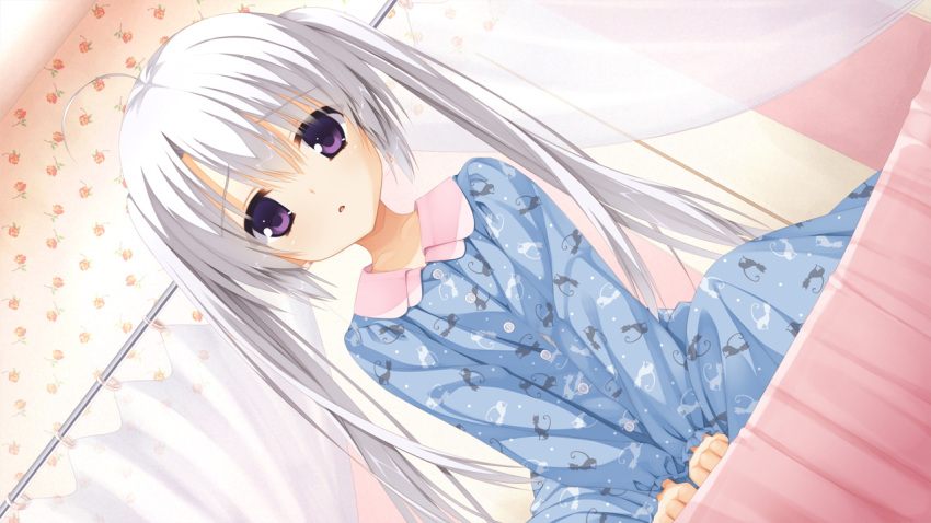 1girl antenna_hair ayachi_nene bed bedroom between_legs blue_pajamas blush child collar curtains dutch_angle eyebrows_visible_through_hair game_cg hand_between_legs indoors kobuichi long_hair long_sleeves looking_at_viewer muririn on_bed pajamas pink_collar sanoba_witch sitting sitting_on_bed solo twintails violet_eyes wall white_hair