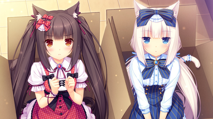 2girls :&lt; animal_ear_fluff animal_ears ascot bangs black_hair blue_eyes blunt_bangs blush bow bowtie box breasts brooch brown_eyes buttons cardboard_box cat_ears cat_tail chocola_(sayori) clenched_hands corset cross-laced_clothes dress eye_contact eyebrows_visible_through_hair female female_focus female_only frilled_dress frills frown game_cg hair_bow hair_ornament hair_ribbon in_box in_container indoors jewelry kemonomimi light_particles logo lolita_fashion long_hair long_sleeves long_twintails looking_at_viewer low_twintails multiple_girls nekomimi nekopara pettanko pink_hair pinstripe_pattern polka_dot pout pouting pov pov_eye_contact ribbon ribbon_trim sayori sidelocks sitting slit_pupils small_breasts tail tail_ribbon tile_floor tiles twintails v_arms vanilla_(sayori) very_long_hair white_hair wrist_cuffs