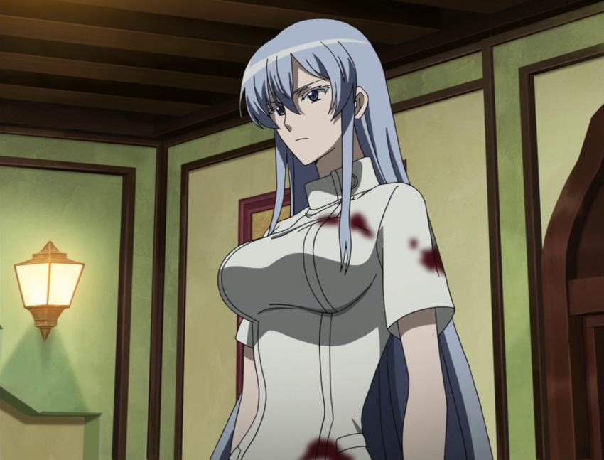 1girl akame_ga_kill! blood blue_eyes blue_hair breasts esdeath female large_breasts screencap solo standing stitched