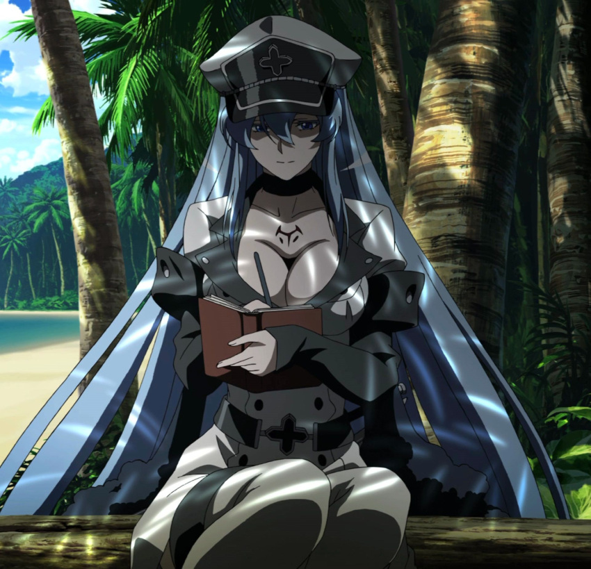 1girl akame_ga_kill! blue_eyes blue_hair book breasts esdeath hat highres large_breasts long_hair sitting smile solo square_enix stitched uniform writing