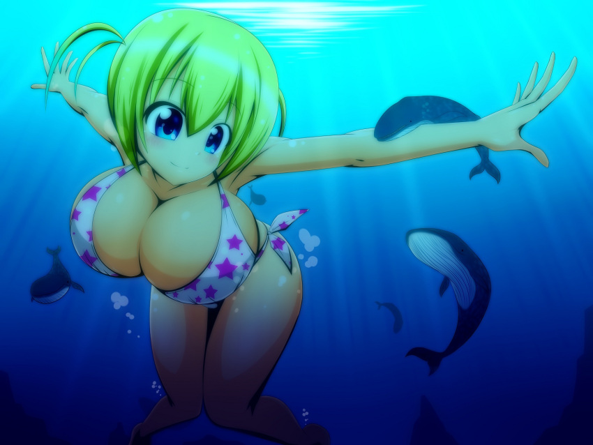 1girl animal bikini blonde_hair blue_eyes breasts cleavage female giantess highres huge_breasts moralgear original smile solo swimsuit thighs underwater water whale