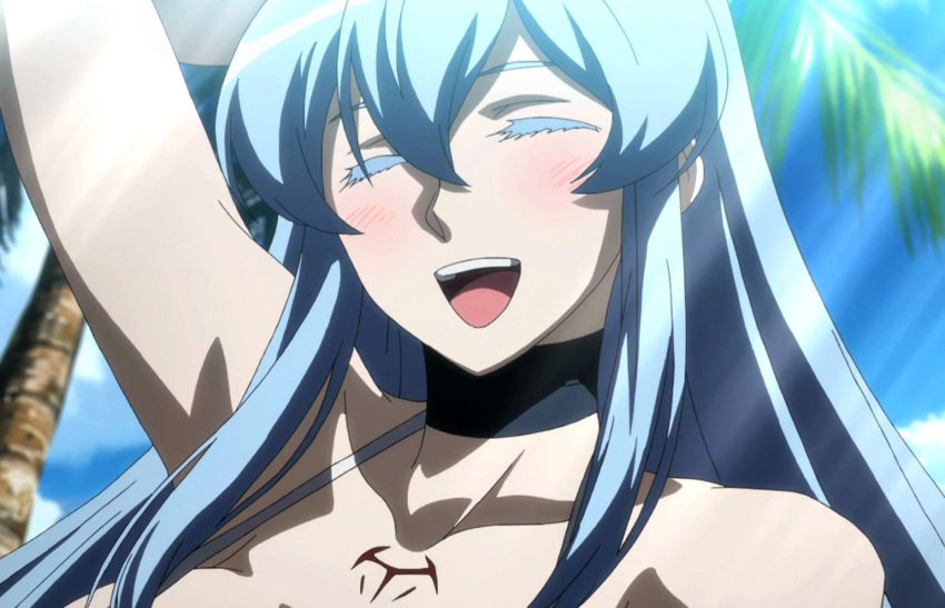1girl akame_ga_kill! blue_hair closed_eyes esdeath happy highres long_hair smile square_enix stitched