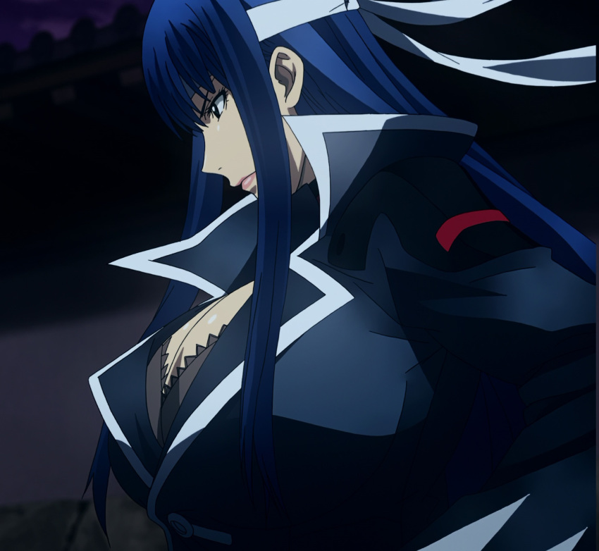 1girl blue_eyes blue_hair breasts cleavage fuuun_ishin_dai_shogun highres hijikata_toshizou large_breasts long_hair night solo standing stitched