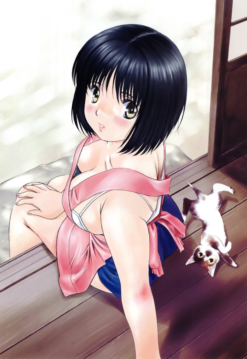 1girl absurdres apron arm_support black_hair blush bra breasts brown_eyes cat downblouse highres kobayashi_hiyoko large_breasts looking_back official_art oku-sama_wa_joshi_kousei onohara_asami short_hair shorts sitting underwear wooden_floor