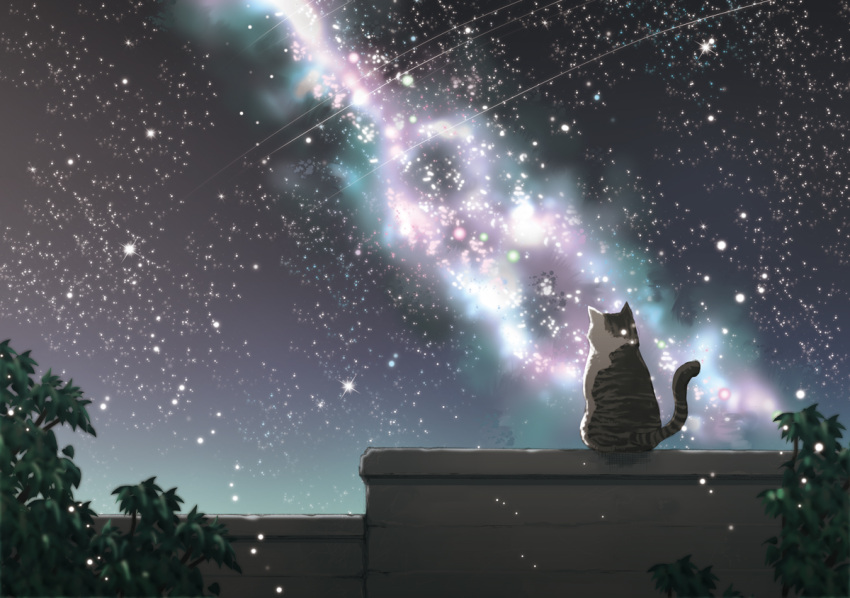 cat contemplation from_behind kazuki_ren milky_way night night_sky no_humans sitting sky star star_(sky) starry_sky