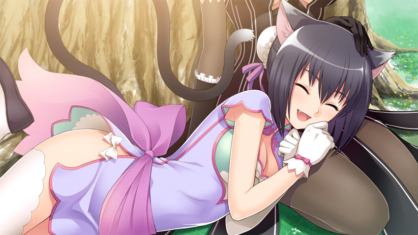 2girls :d ^_^ absurdres animal_ears armpit_peek asymmetrical_clothes bare_arms black_gloves black_hair blade_arcus_from_shining bow bowtie breasts brown_clothes brown_dress bun_cover cat_ears cat_tail china_dress chinese_clothes choker cleavage closed_eyes day double_bun dress eyebrows eyebrows_visible_through_hair fang flower frilled_gloves frills fringe game_cg gloves grass hair_between_eyes happy highres knees_up lap_pillow legs legwear long_sleeves lying lying_on_lap maxima_enfield multiple_girls no_panties open_mouth pantyhose petting purple_clothes ribbon sakuya_(shining_blade) seiza shaomei_rin shining_(series) shining_blade shining_hearts shirt shoes short_dress short_hair sitting smile solo_focus striped striped_dress tail tanaka_takayuki taut_clothes taut_shirt thigh-highs tongue tree white_gloves white_legwear