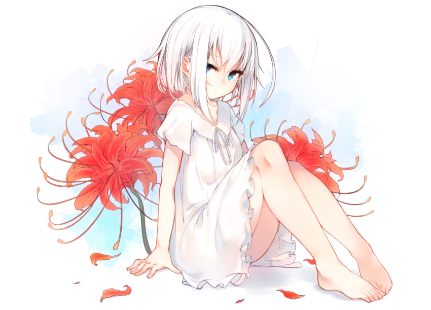 1girl bare_legs barefoot blue_eyes blush commentary_request flower hair_between_eyes looking_at_viewer nightgown original otokuyou ringo-chan_(otokuyou) short_hair sitting solo spider_lily white_hair
