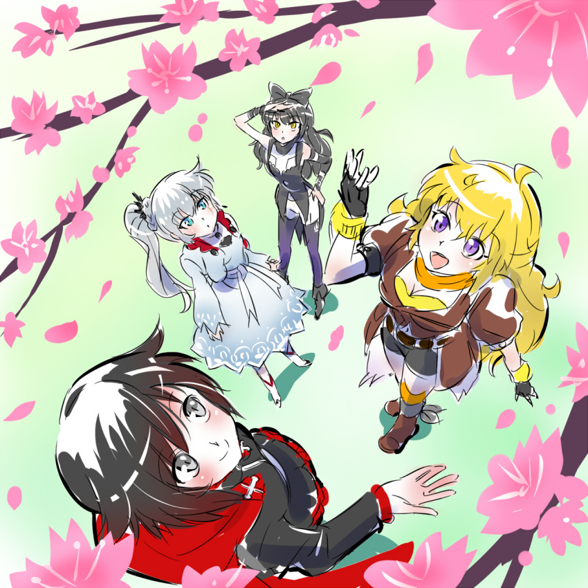4girls arm_up black_hair blake_belladonna blonde_hair blue_eyes cherry_blossoms from_above grey_eyes highres iesupa multiple_girls open_hand outstretched_hand pantyhose petals ruby_rose rwby thigh-highs violet_eyes weiss_schnee white_hair yang_xiao_long yellow_eyes