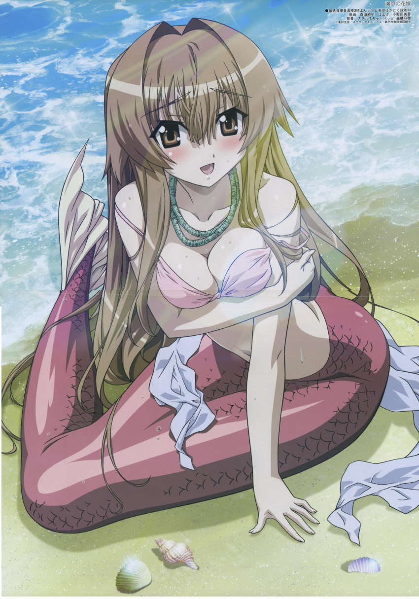 1girl absurdres beach bikini bikini_top breast_hold breast_squeeze breasts cleavage highres megami mermaid monster_girl morita_kazuaki scan seto_no_hanayome seto_san solo swimsuit twisty_boobs wardrobe_malfunction water wet