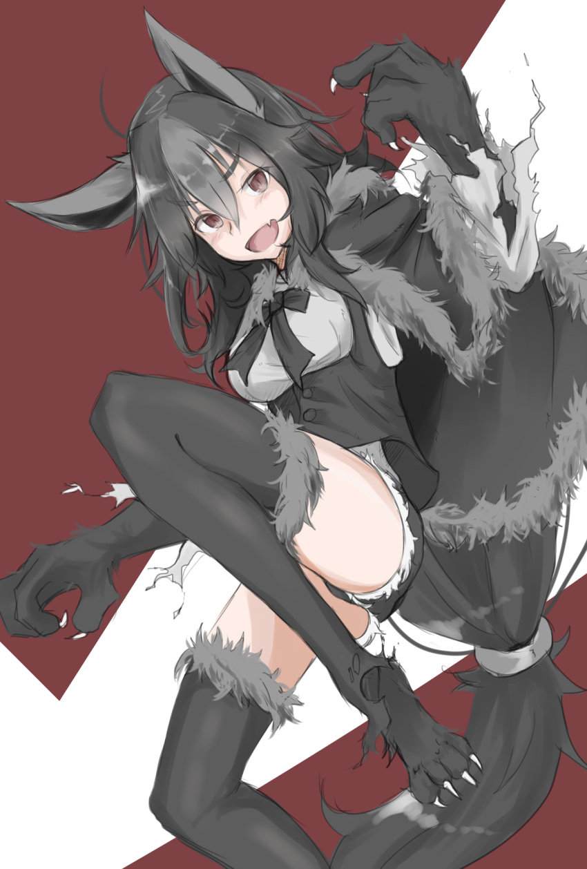 &gt;:d 1girl :d animal_ears bangs black_hair black_legwear black_ribbon black_shorts blush breasts brown_eyes buttons cape claws eyebrows_visible_through_hair fang fur_trim grey_hair hair_between_eyes highres long_hair low-tied_long_hair medium_breasts mightyena multicolored_hair open_mouth personification pokemon pokemon_(game) pokemon_rse ribbon shirokuma1414 shorts smile solo streaked_hair tail thigh-highs torn_clothes torn_sleeves underbust very_long_hair wolf_ears wolf_paws wolf_tail