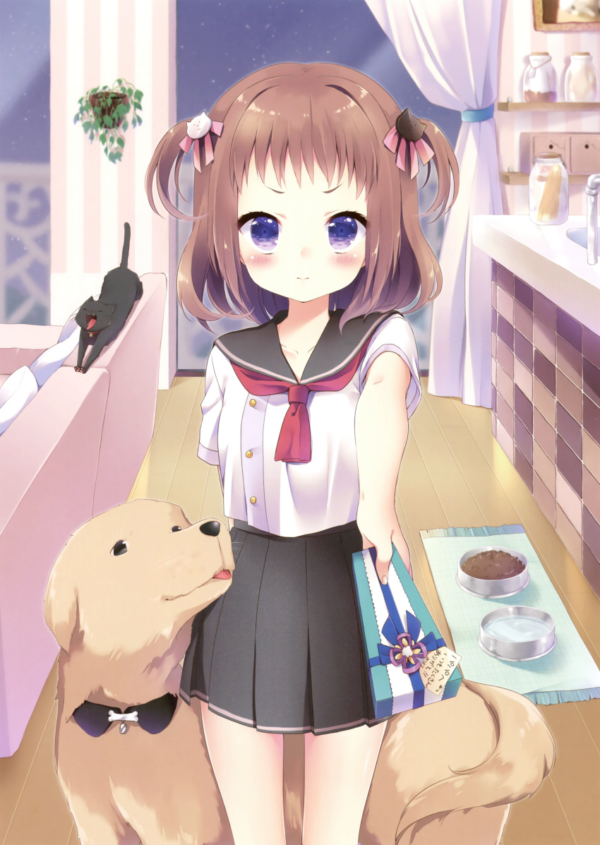 1girl absurdres animal arm_behind_back bangs black_skirt blush blush_stickers bowl box buttons cat collarbone couch cowboy_shot curtains dog embarrassed fingernails flower_pot gift gift_box hair_ornament hair_ribbon highres holding holding_gift incoming_gift kuune_rin neckerchief open_mouth original pet pet_bowl pillow pink_ribbon plant pleated_skirt pov reaching reaching_out ribbon sailor_collar scan school_uniform serafuku shirt short_eyebrows short_hair short_sleeves skirt sleepy solo stretch translated two_side_up violet_eyes waking_up window wooden_floor yawning