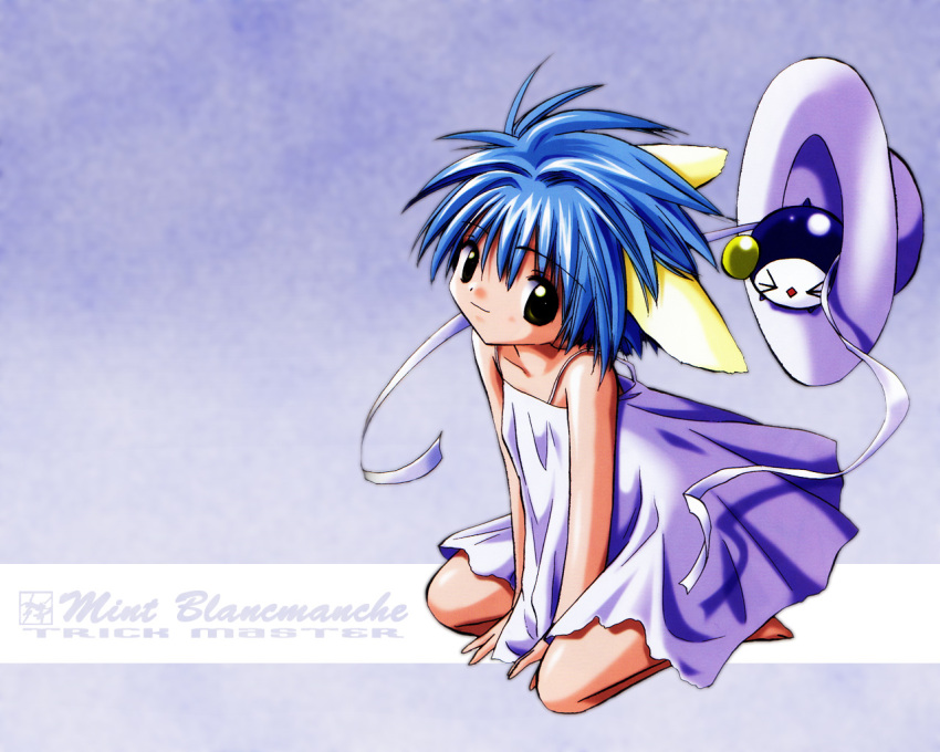 1girl animal animal_ears blue_hair dress galaxy_angel highres looking_at_viewer mint_blancmanche short_hair small_breasts solo tagme wallpaper yellow_eyes