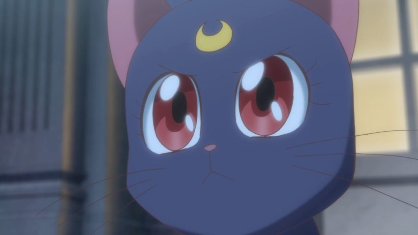 &gt;:( bishoujo_senshi_sailor_moon black_fur luna_(sailor_moon) neko red_eyes wallpaper